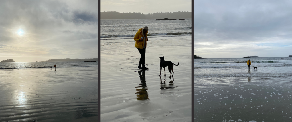 Mackenzie Beach in Tofino is ideal for dogs and families