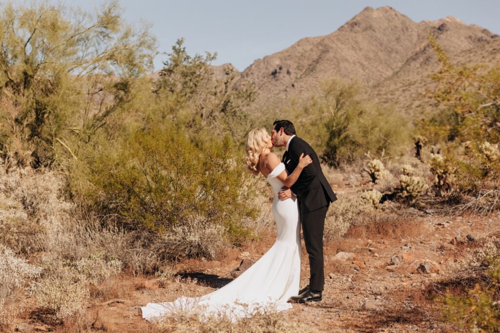 The beautiful Pronovias dress sold by wedding vendor Rituals of Love in Gastown, in Downtown Vancouver, BC worn by Stefanie McAuley of Broad World on her wedding day in Phoenix Arizona 
